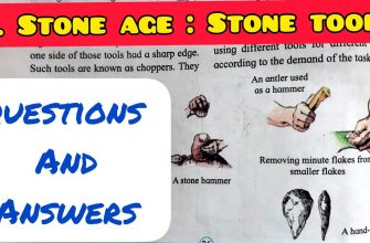 solution-for-level-6-5-the-stone-age