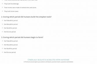 solution-for-level-6-4-the-stone-age